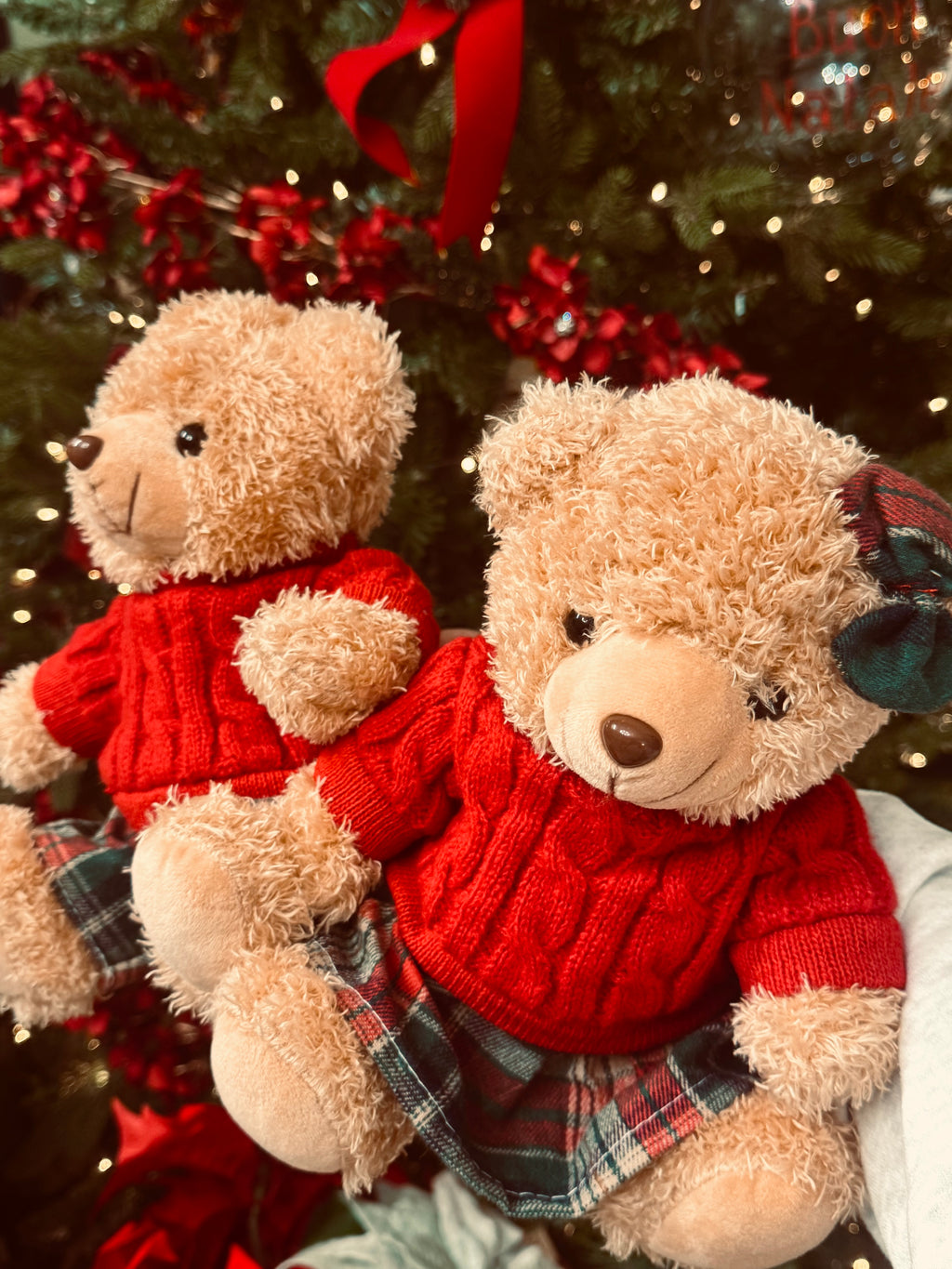 Orsacchiotto Nöel 🐻