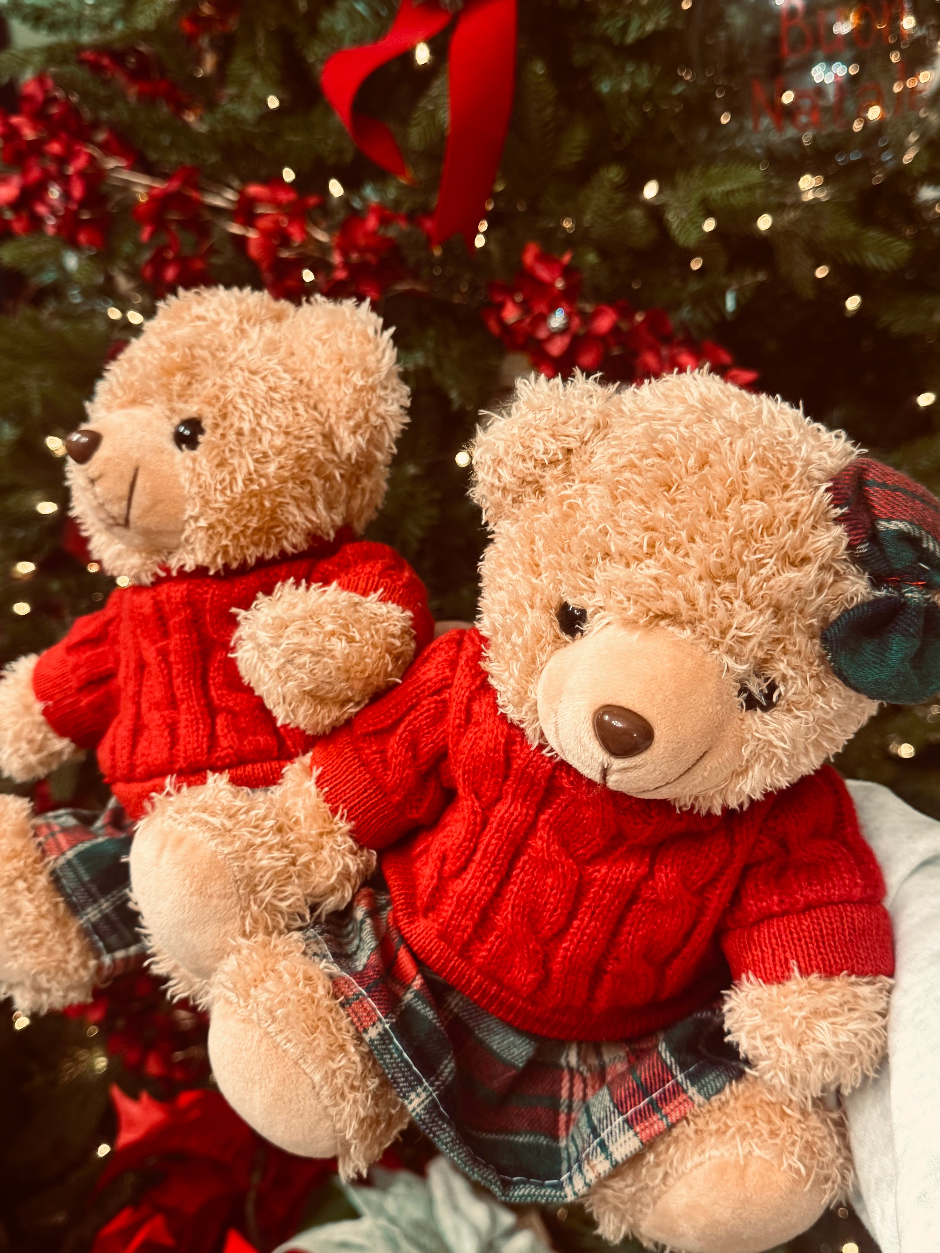 Orsacchiotto Nöel 🐻