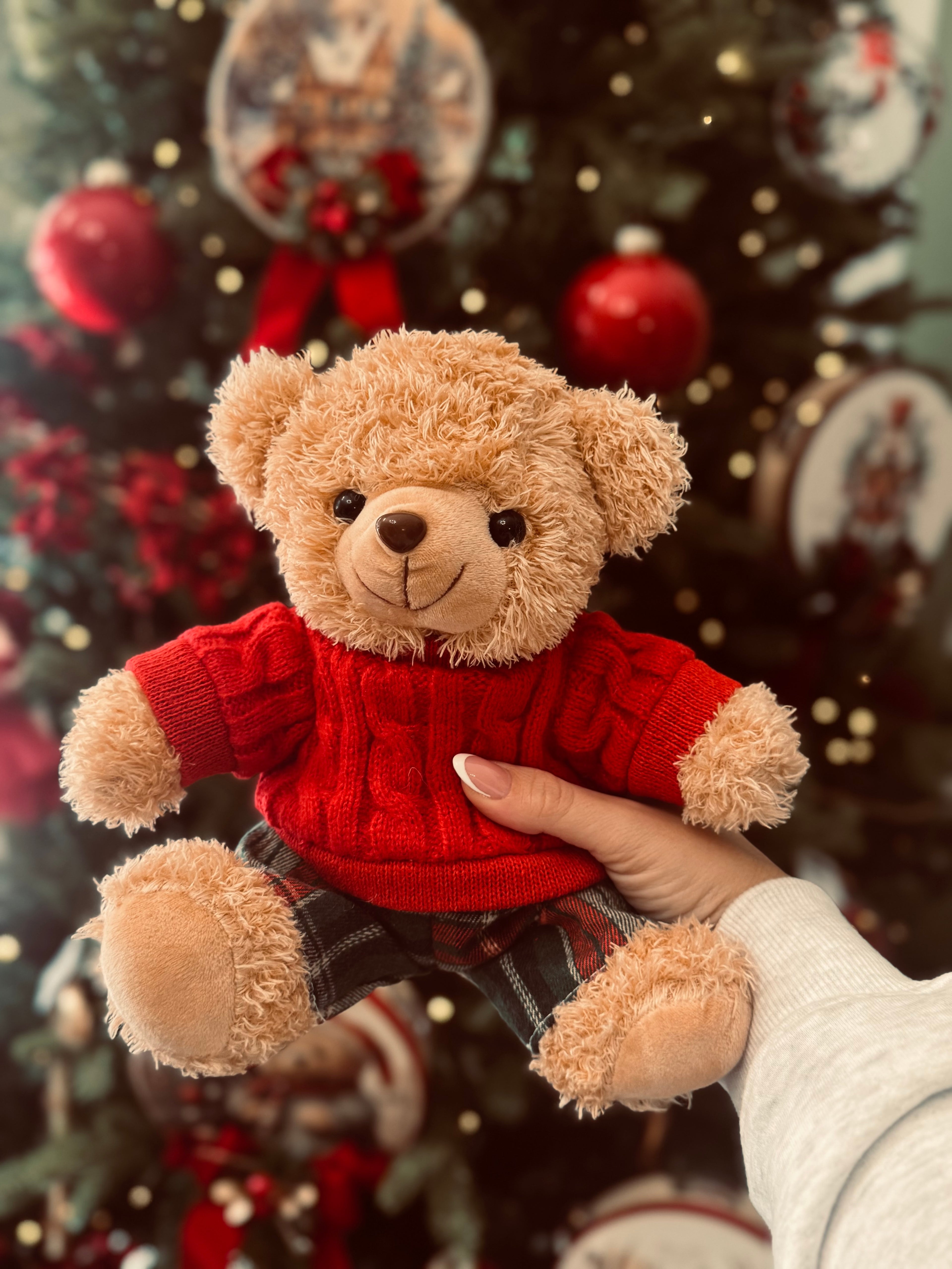 Orsacchiotto Nöel 🐻