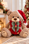 Mister Teddy