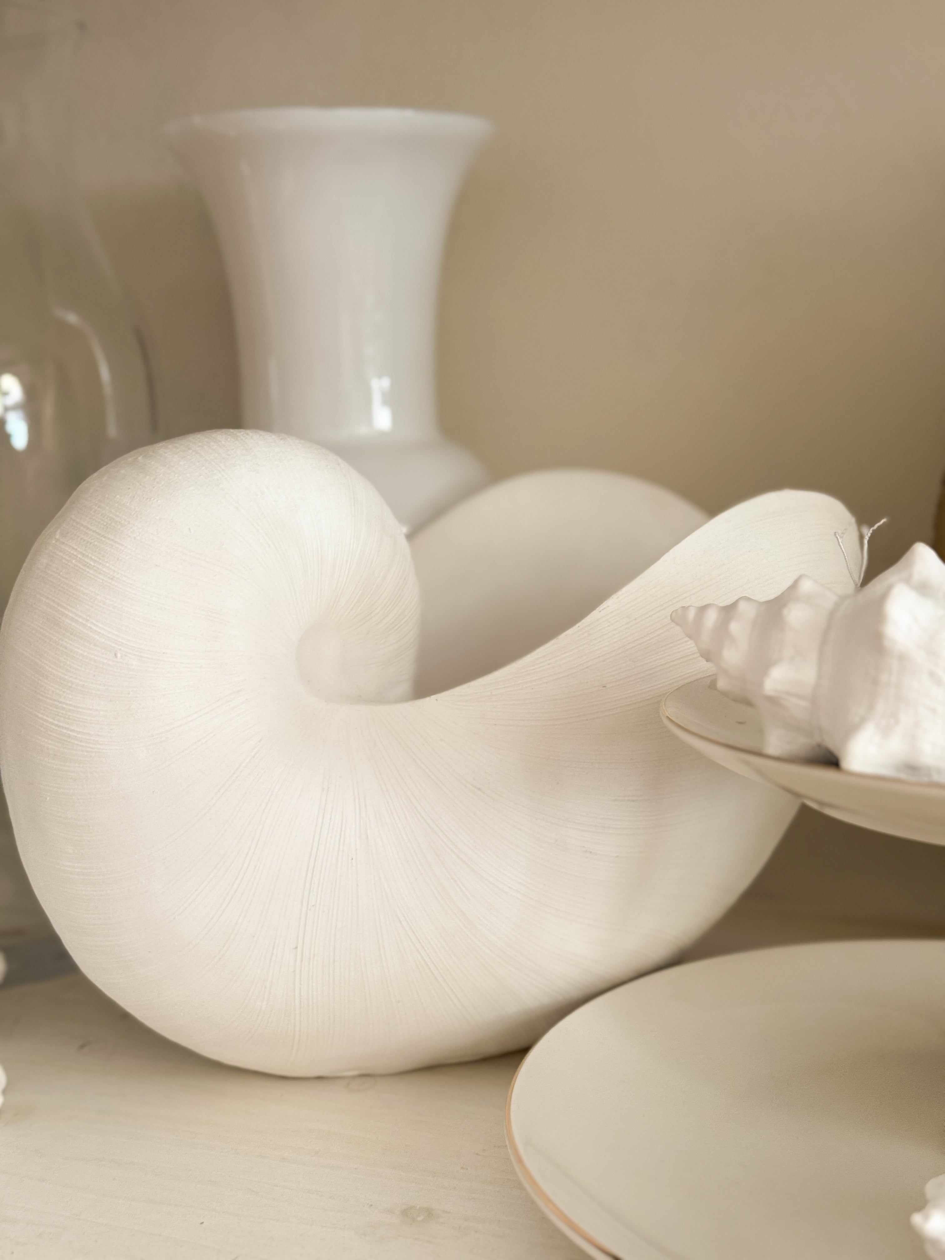 Conchiglia Maxi Levante