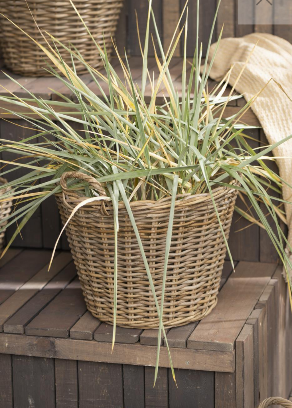 Cesta Rattan
